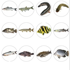 1 pièce 10 cm 9g Jerkbait de plongée profonde, leurre dur artificiel, wobbler, leurre minnow pour la pêche au bar, au brochet et à la carpe, matériel de pêche - Product Image 3