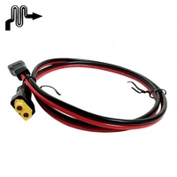 Connecteur au connecteur XT60 2468 fils 12AWG XT60 fil rouge et noir peut être personnalisé selon les besoins Longueur du système