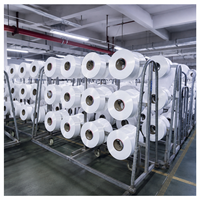 Filament de nylon texturé DTY 100% blanc brut de qualité AA 10D-100D brillant pour le tissage, le tricotage et les tissus doux et élastiques