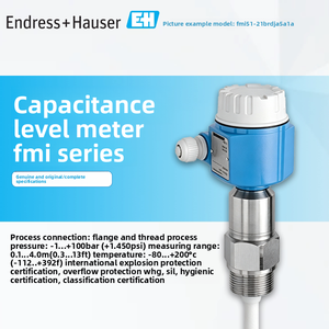 Instrument de mesure de niveau capacitif série FMI E+H Endress+Hauser, instrument de mesure d'interface, original, industriel, fabriqué en Chine - Product Image 2