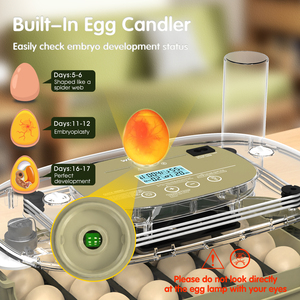 WONEGG Animal Pequeño Comercial Pollo Automático DLM 24 <span class=keywords><strong>Huevo</strong></span> Incubadora Fabricantes Máquina - Product Image 3