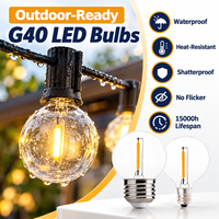 Prix usine extérieur résistant aux intempéries G40 guirlande lumineuse lampe à LED 120V E26 E12 ampoule en plastique sans scintillement Compatible avec guirlande lumineuse