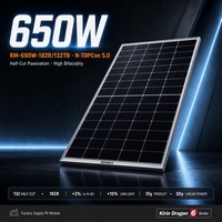 Panneau solaire bifacial TOPCon de type N 650W 182R 132 cellules pour le développement de projets de production d'énergie solaire en Asie du Sud-Est