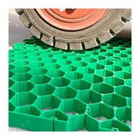 Grille de gazon en plastique moderne HDPE/PP pour parking et usage extérieur