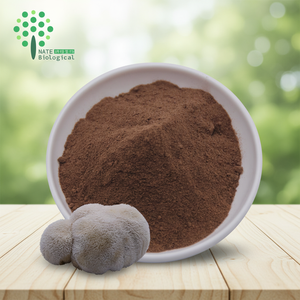 Hericium Erinaceus Extrakt Löwenmähnen-Pilzpulver Polysaccharid Beta-Glucan Triterpen Hericenon Erinacines Trommelverpackung - Product Image 2