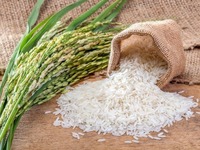 Desbloquear la excelencia culinaria PAKISTAN 1121 arroz Basmati disponible en cantidades a granel arroz Basmati y no Basmati exportador paquistaní