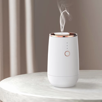 Diffuseur d'huiles essentielles pour voiture, nouveau style, USB, machine de pulvérisation automatique de parfum