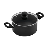 Petite casserole légère en acier inoxydable antiadhésive avec couche de titane, compatible induction, couvercle en verre, pour aliments pour bébés et lait