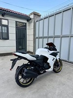 Moto d'occasion de la marque Big S avec moteur de 250 cm³, pleine de puissance.