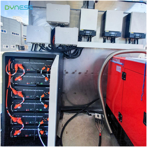 Système de stockage d'énergie en conteneur <span class=keywords><strong>Dyness</strong></span> Lithium Ion Battery Ess 48V 4,8 Kwh Bess - Product Image 5