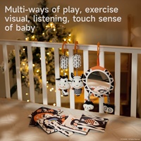 Jouets sensoriels suspendus pour bébés Tumama, poussette, noir et blanc, livre miroir Timmy Time, ensemble de hochets en peluche, livre d'activités froissé pour nouveau-nés