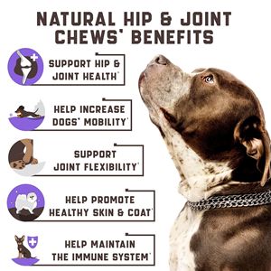 DB <b>Glucosamine</b> for <b>Dogs</b> Functional Joint Supplement Chondroitin MSM Hemp Oil Supports Better Mobility Hip Joints-Also Cats Fish - Product Image 2