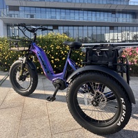 Vélo électrique cargo de 20 pouces avec grand panier arrière à entraînement central et moteur central Stock de l'UE Batterie au lithium 48v