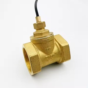 สวิตช์ควบคุมการไหลแบบใบพัดทองเหลืองทนอุณหภูมิสูง DN25 สำหรับระบบ HVAC หม้อไอน้ำ ปั๊มน้ำหมุนเวียน เซ็นเซอร์ป้องกัน - Product Image 4