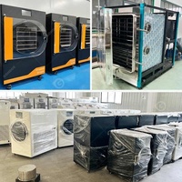 Vacuümpompdroger India Gedroogde Industriële Lyofilisator Bevriezen Oploskoffie Machine Voor Voedsel 12Kg 30Kg