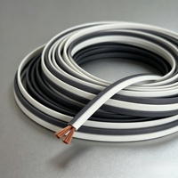Câble de haut-parleur plat double 16AWG, 2 conducteurs, OFC, cuivre sans oxygène, flexible, pour système audio stéréo, pour le câblage mural de cinéma maison