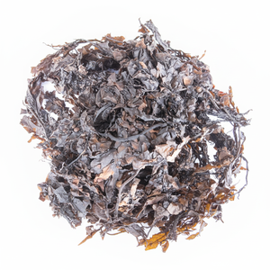 Alga Marina Sergassum Premium, Natural y Orgánica, Rica en Nutrientes, Ideal para Suplementos Alimenticios y Uso Cosmético - Product Image 1