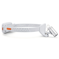 Lampe à faisceau focalisé portable avec lentille filtrante, lampe frontale chirurgicale vétérinaire