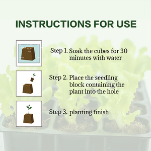 ขายส่ง 80 ชิ้น/กล่อง บล็อกเพาะชำโคโค่ทรงสูง สำหรับปลูกพืชในเรือนกระจก ปลูกแบบไร้ดิน ฐานอัดแน่น กระถางปลูกดอกไม้ - Product Image 5