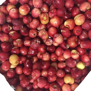 Frutas y Verduras Congeladas Chinas con Certificación HACCP, Cerezas Rojas Enteras Congeladas IQF (sin Semillas) - Product Image 3