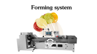 SINOFUDE Hot Sale Volledig Automatische Fruitlollipopmachine Lollipopmachine Lollipopproductielijn
