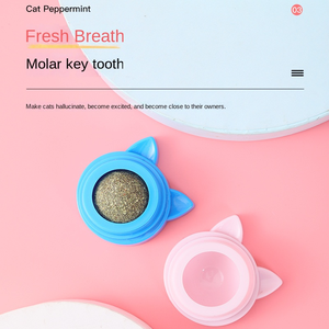 Palline Multifunzionali Sostituibili per Gatti: Aiutano la Digestione, Puliscono i Denti, Rotanti, con Erba Gatta, Design Cartone Animato - Product Image 5