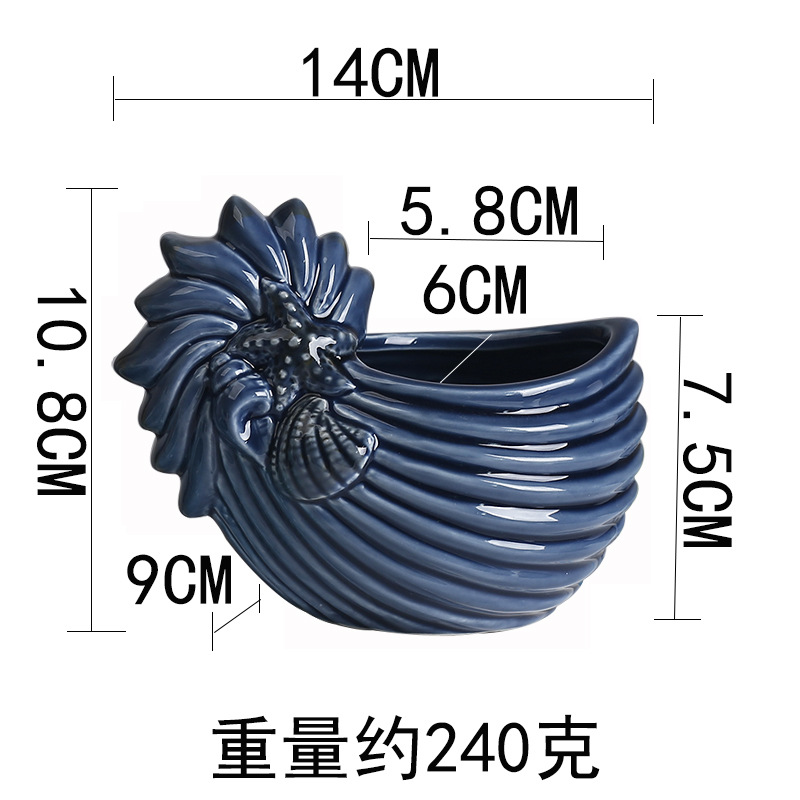 Conchiglia di pancia grassa blu scuro