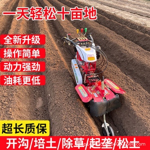 Cultivador Agrícola a Gasolina con Motor 401E de Alta Productividad para Labranza de Campos y Preparación del Suelo - Product Image 2