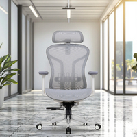 Chaise de bureau exécutive ergonomique en maille confortable et contemporaine, pivotante, avec vérin à gaz certifié Classe 3 et soutien lombaire auto-ajustable