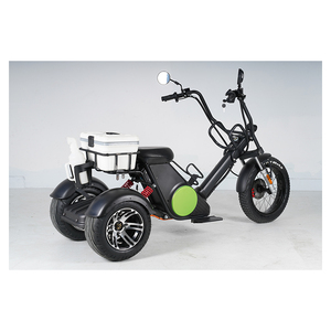 Scooter Eléctrico M6G-Golf de 3 Ruedas, Bicicleta Eléctrica, Scooter de Carga, 1000 <span class=keywords><strong>W</strong></span> - Product Image 6