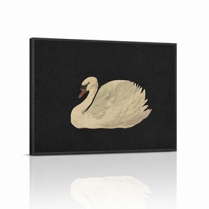 Cuadro de Lona con Marco de <span class=keywords><strong>Cisne</strong></span> al por Mayor, Fondo Negro, Acuarela Vintage, <span class=keywords><strong>Cisne</strong></span> Silencioso, Pájaro Blanco con Pico <span class=keywords><strong>Rojo</strong></span>, Naturalista - Product Image 1