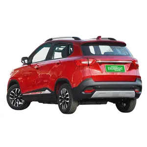 새로운 EV 고속 전기 자동차 전기 반 승용차 SUV LHD