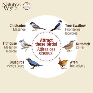 Casetta per Uccelli <span class=keywords><strong>in</strong></span> <span class=keywords><strong>Legno</strong></span> di Cedro Non Finita da Appendere, Decorazione da Giardino - Product Image 6