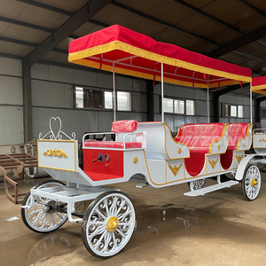 Calèche de tourisme à plusieurs places, calèche royale européenne personnalisée pour événements en plein air - Product Image 4