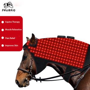 Appareil de thérapie LED infrarouge proche (660nm 850nm) pour chiens et chevaux avec fonctionnalités de soulagement de la douleur et de cicatrisation des plaies, facile à utiliser - Product Image 3