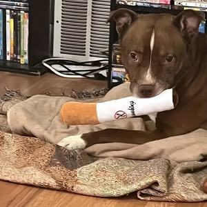 En iyi yapılan serin <span class=keywords><strong>pet</strong></span> oyuncak peluş gıcırtılı köpek sigara puro komik oyuncaklar özel logo <span class=keywords><strong>pet</strong></span> köpek oyuncak - Product Image 2