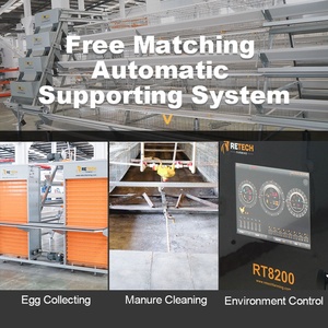 Thiết Kế Hiện Đại Gia Cầm Ngôi Nhà Trang Trại Tự Động Pin Trứng Lớp Lồng Gà Để Bán - Product Image 4