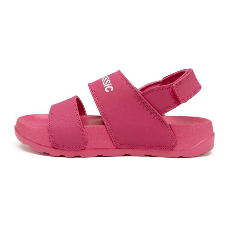 กุหลาบสีชมพู