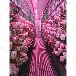 Contenedor de cultivo de hongos grande inteligente de 20 40 pies, control de temperatura y humedad automatizado, invernaderos agrícolas de varios tramos - Product Image 5