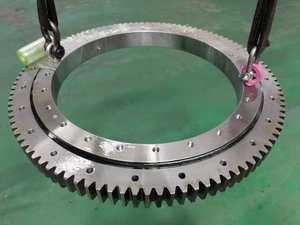 EFANT Slewing <span class=keywords><strong>Ring</strong></span> Bearing Diameter besar, bantalan roda gigi eksternal 1797 2600G2K 5 sumbu Cnc Cross Roller <span class=keywords><strong>Slew</strong></span> - Product Image 4