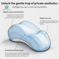 Coussin de positionnement sexuel en mousse à mémoire de forme pour protection lombaire, utilisable comme dossier de lit, de canapé ou de chevet, pour couples et hôtels