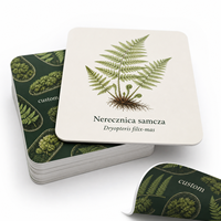 Cartes d'apprentissage personnalisées sur le thème de la forêt, de la fougère et du mousse, écologiques, durables, en papier couché 300 g/m², avec pelliculage mat, dans une boîte cadeau rigide pour les écoles