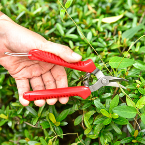 Stainless Steel Pruning Shears Set Red Plastic Handle Bypass Design For Fruit Trees And Bonsai Orchards - Product Image 4
