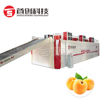 Automatische warmtepomp fruitdroogmachine met PLC-besturing en gaasbanddroging voor voedselverwerking