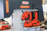 Machine de cisaillement et de poinçonnage efficace de petit ferronnier hydraulique Q35Y-16 rentable pour l'atelier