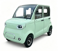 Voiture électrique fermée à 4 places, à faible vitesse (45 km/h), avec toit solaire, personnalisable en couleur, directement de l'usine, pour adultes