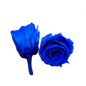 Offre Spéciale préservé rouge coupées fraîches roses fleur <span class=keywords><strong>tête</strong></span> dans une boîte cadeau pour mur de fleurs artificielles - Product Image 6