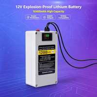 12V Lithium-Batterie Modell 12-125 mit Großer Kapazität und Intelligentem Schutz für LED-Xenon-Lampen, Audio-Ballmaschinen und Überwachungsgeräte