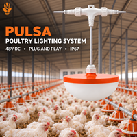 Perlengkapan Lampu LED Peternakan Ayam 48V DC Plug and Play IP67 Dapat Diredupkan Bebas Kedip Lampu Unggas untuk Rumah Ayam Pedaging, Petelur, dan Induk