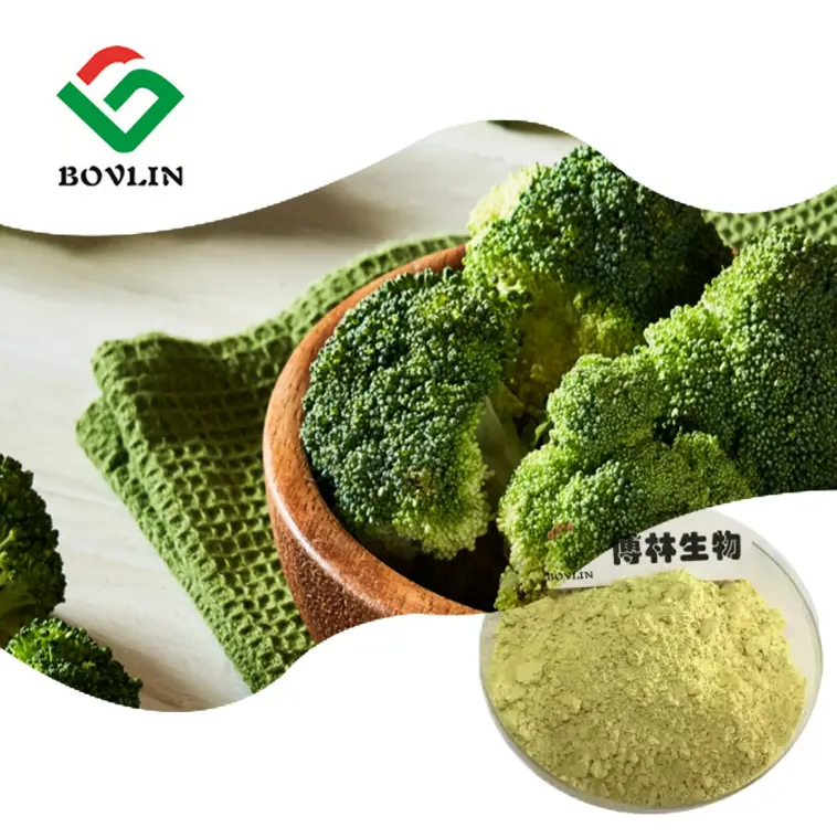 Massen preis Brokkoli-Extrakt 0,5%-98% Sulforaphan-Pulver